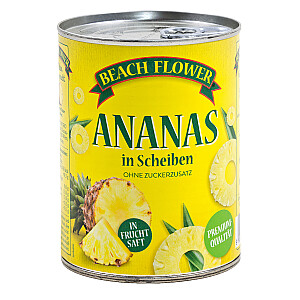 Beach Flower Ananasscheiben Light