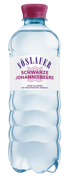 Vöslauer Schwarze Johannisbeere