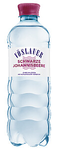 Vöslauer Schwarze Johannisbeere