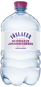 Vöslauer Schwarze Johannisbeere
