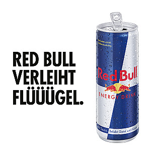 Red Bull Energy Drink 6er Packung