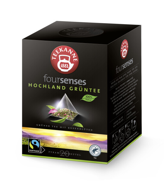 Teekanne Foursenses Hochland Grüntee