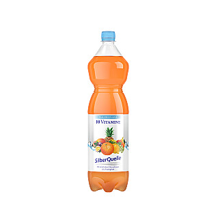 SilberQuelle 10 Vitamine kalorienarm