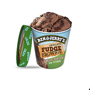 Ben & Jerry's Fudge Brownie Vegan