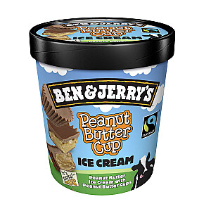 Ben & Jerry's Peanut Butter Cup