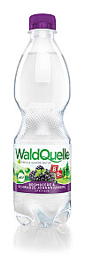 Waldquelle Brombeere-Schwarze Johannisbeere